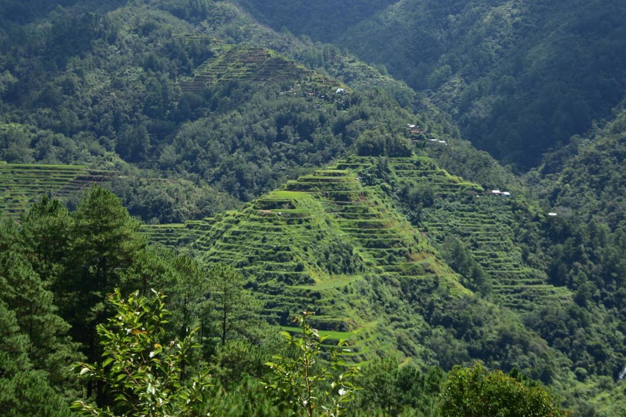 Hiwang Native House Inn & Viewdeck Banaue Exterior foto