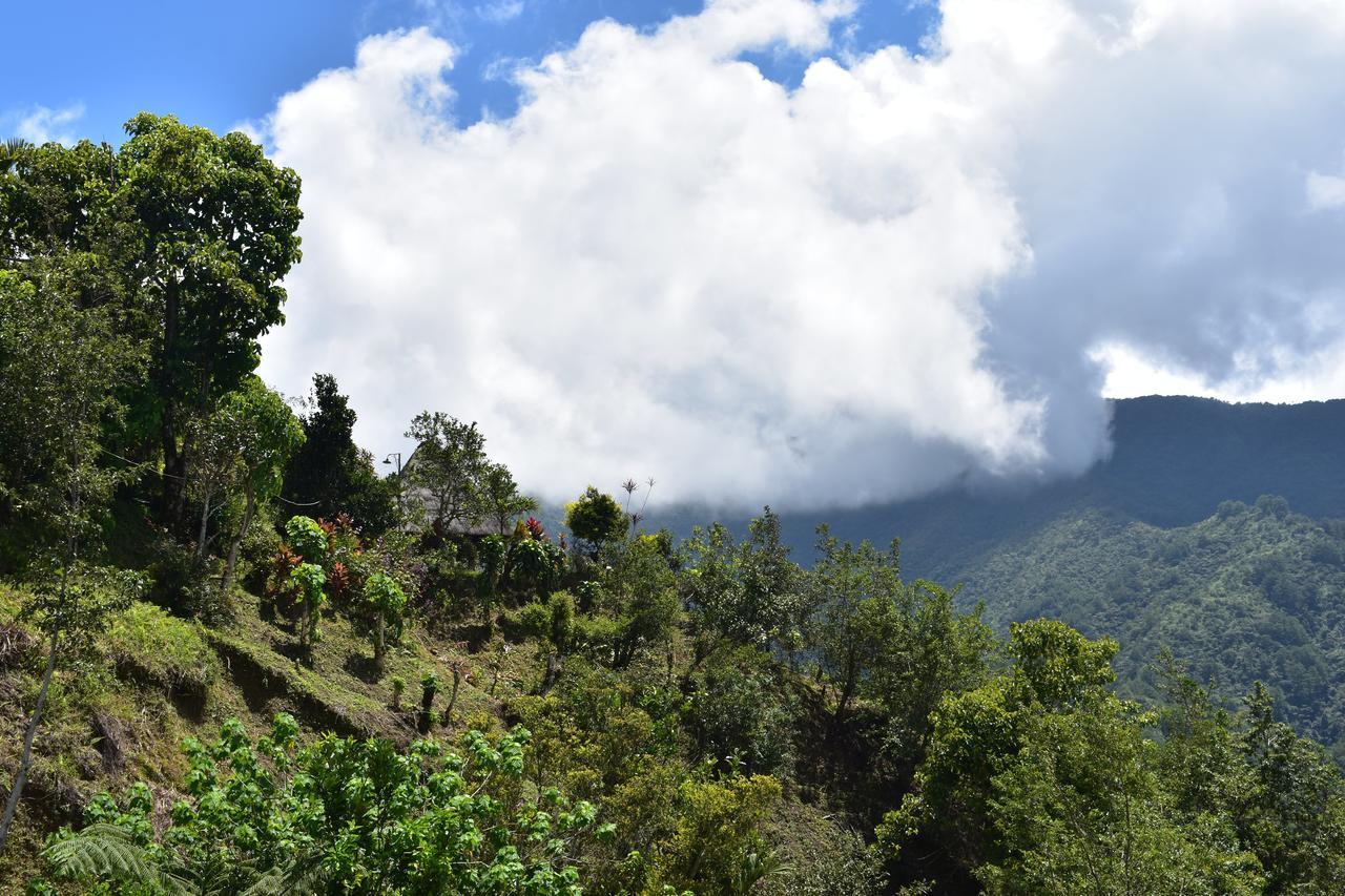 Hiwang Native House Inn & Viewdeck Banaue Exterior foto